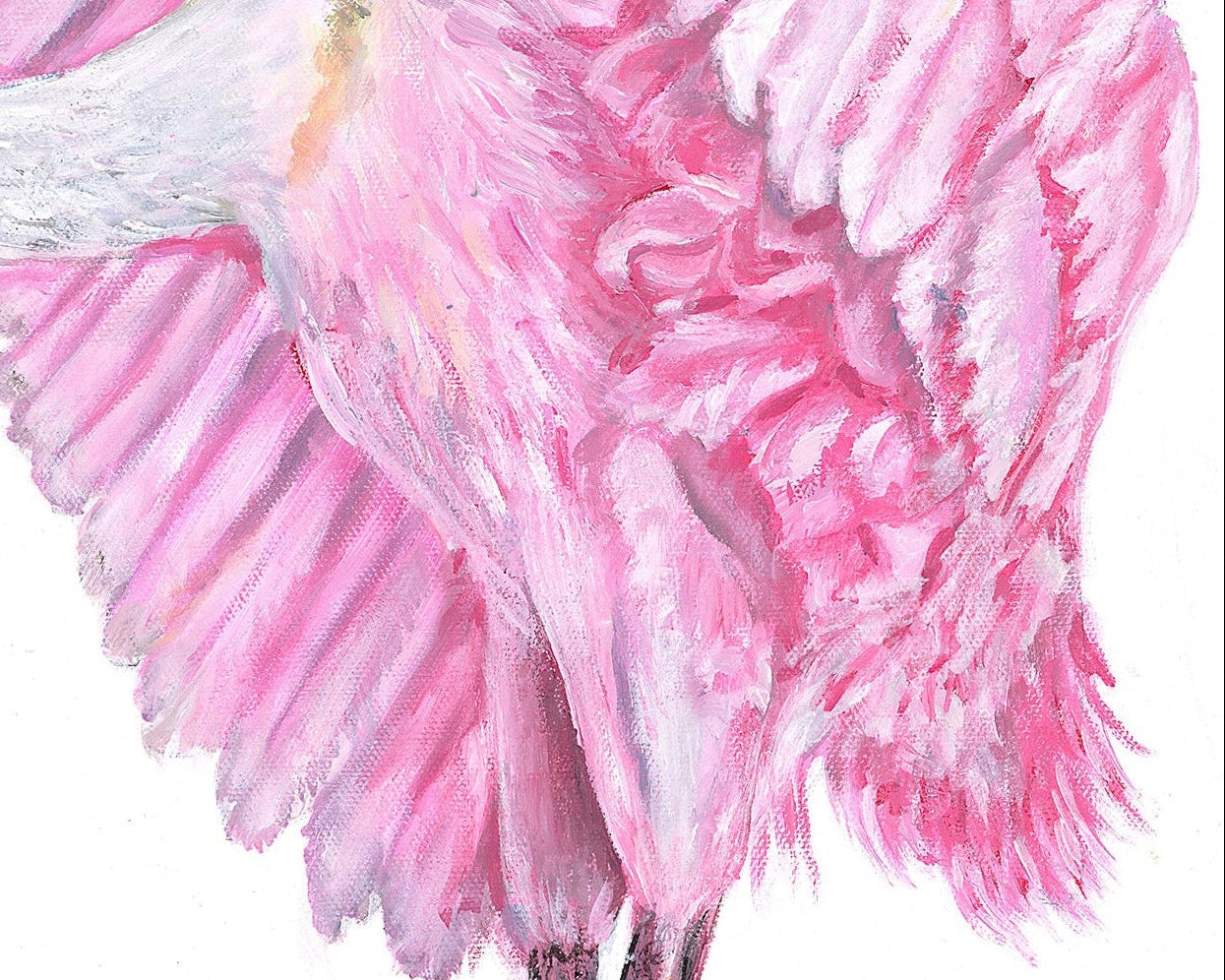 Pink Roseate Spoonbill Art Print | Coastal Bird Wall Art | Southern Decor | Fine Art Print by Leli Holmes