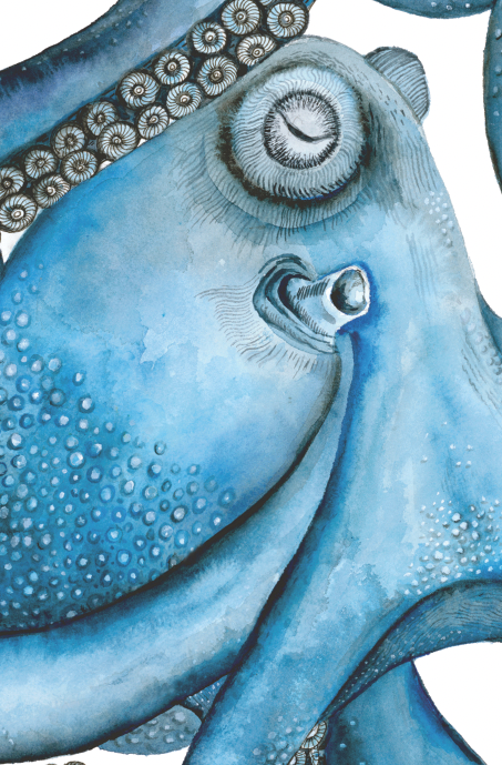 Blue Octopus Coastal Art Print | Nautical Ocean Wall Art | Sea Life Illustration | Beach House Decor | Leli Holmes Art