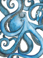 Blue Octopus Coastal Art Print | Nautical Ocean Wall Art | Sea Life Illustration | Beach House Decor | Leli Holmes Art