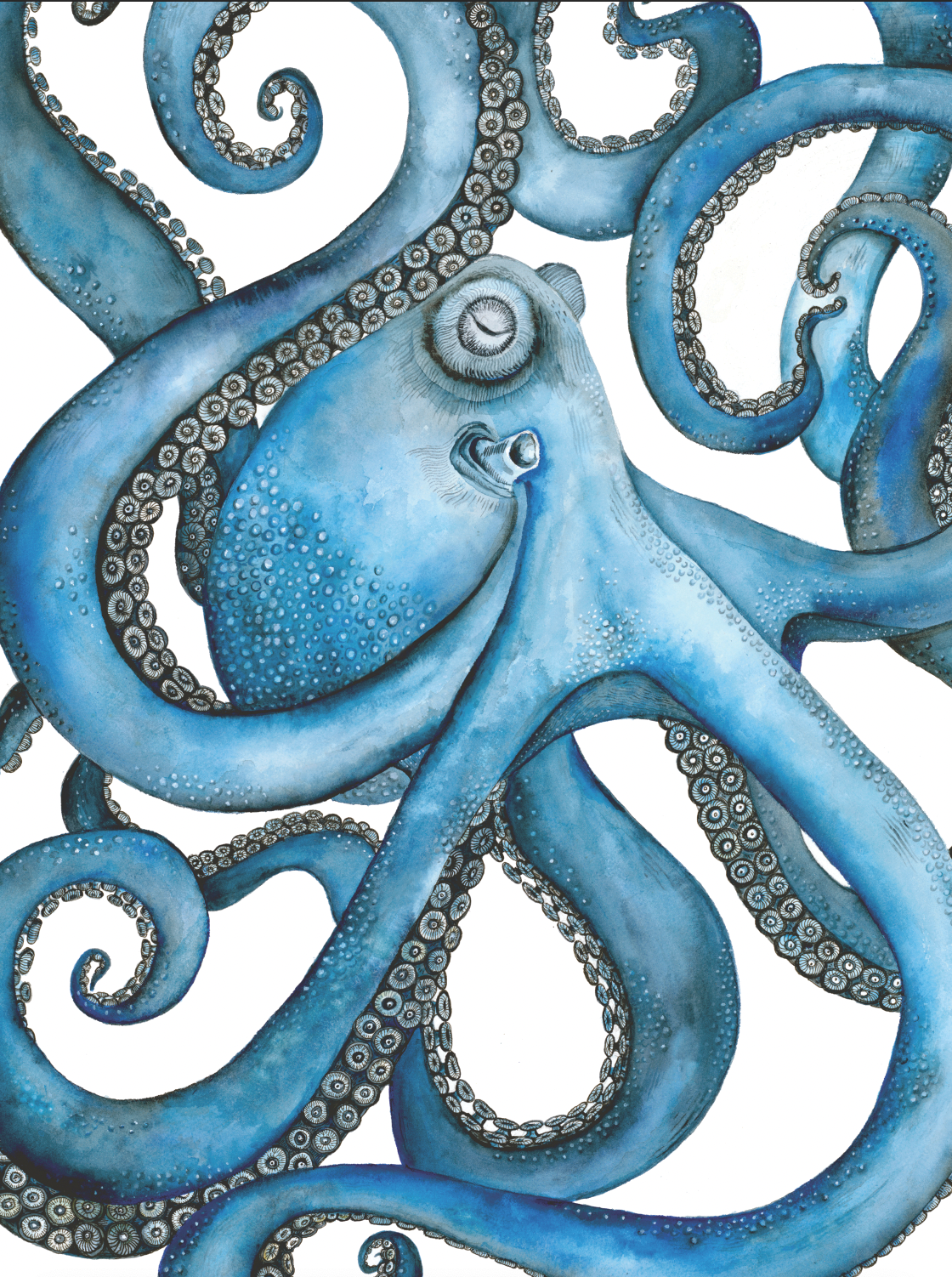 Blue Octopus Coastal Art Print | Nautical Ocean Wall Art | Sea Life Illustration | Beach House Decor | Leli Holmes Art